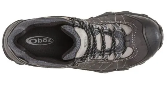 Men's Bridger Low Trail Shoe